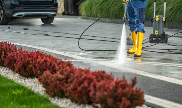 Best Fence Cleaning  in Buffalo, TX